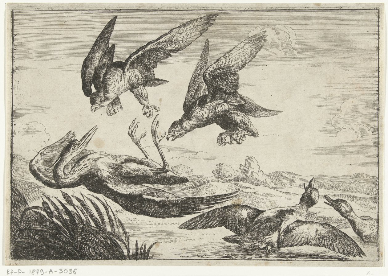 Two Falcons Attacking a Heron by Peeter Boel