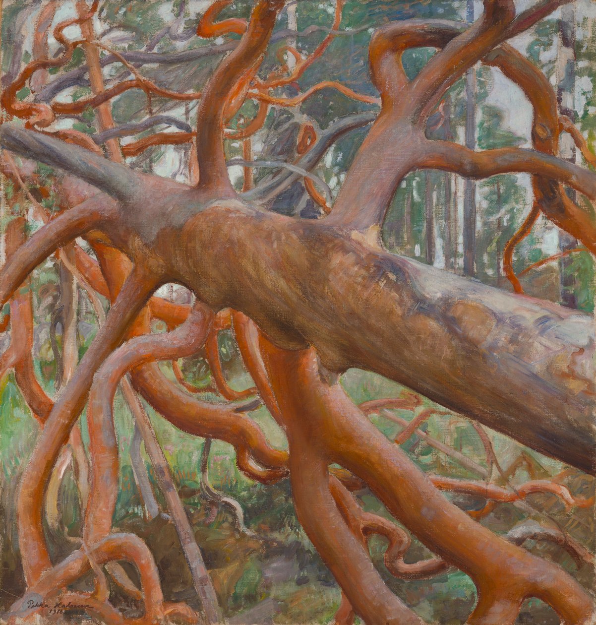 Great Pine of Kotavuori by Pekka Halonen