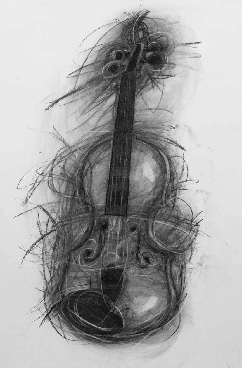 Violin, 2005 by Penny Warden