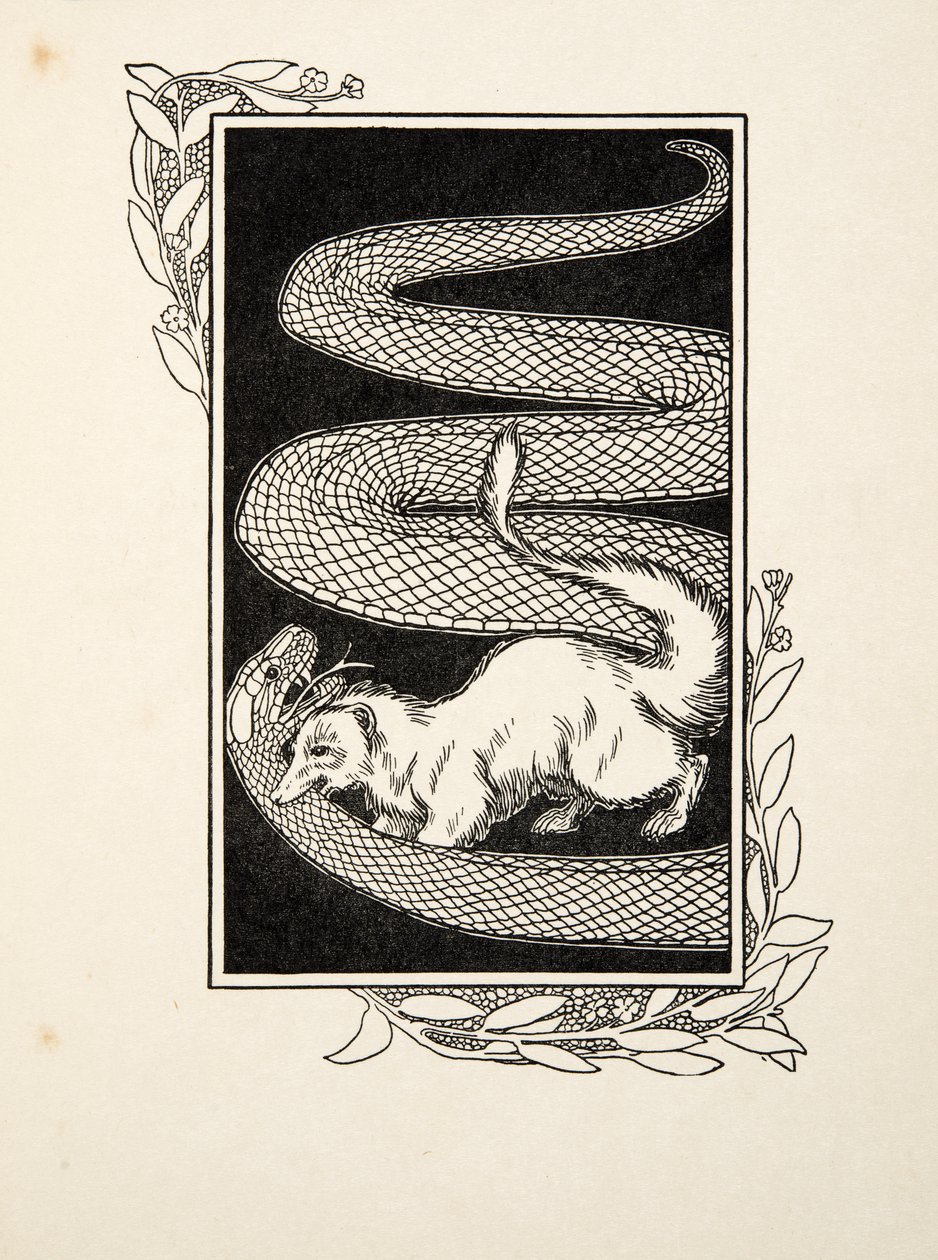 Snake Destroyers, from A Hundred Anecdotes of Animals, pub. 1924 (engraving) by Percy J. Billingshurst