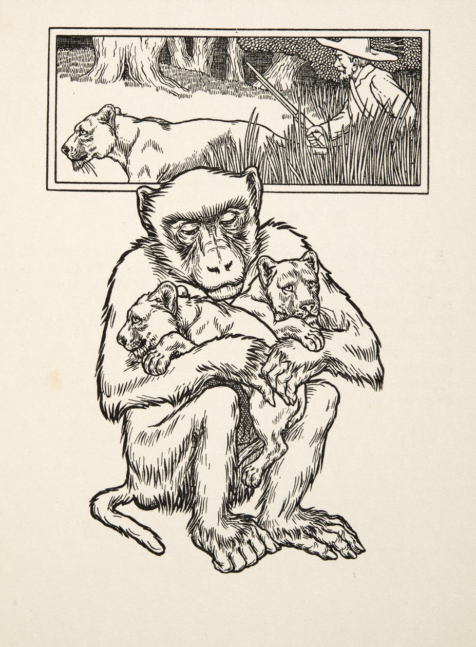 Soliciting Succour, from A Hundred Anecdotes of Animals, pub. 1924 by Percy J. Billingshurst