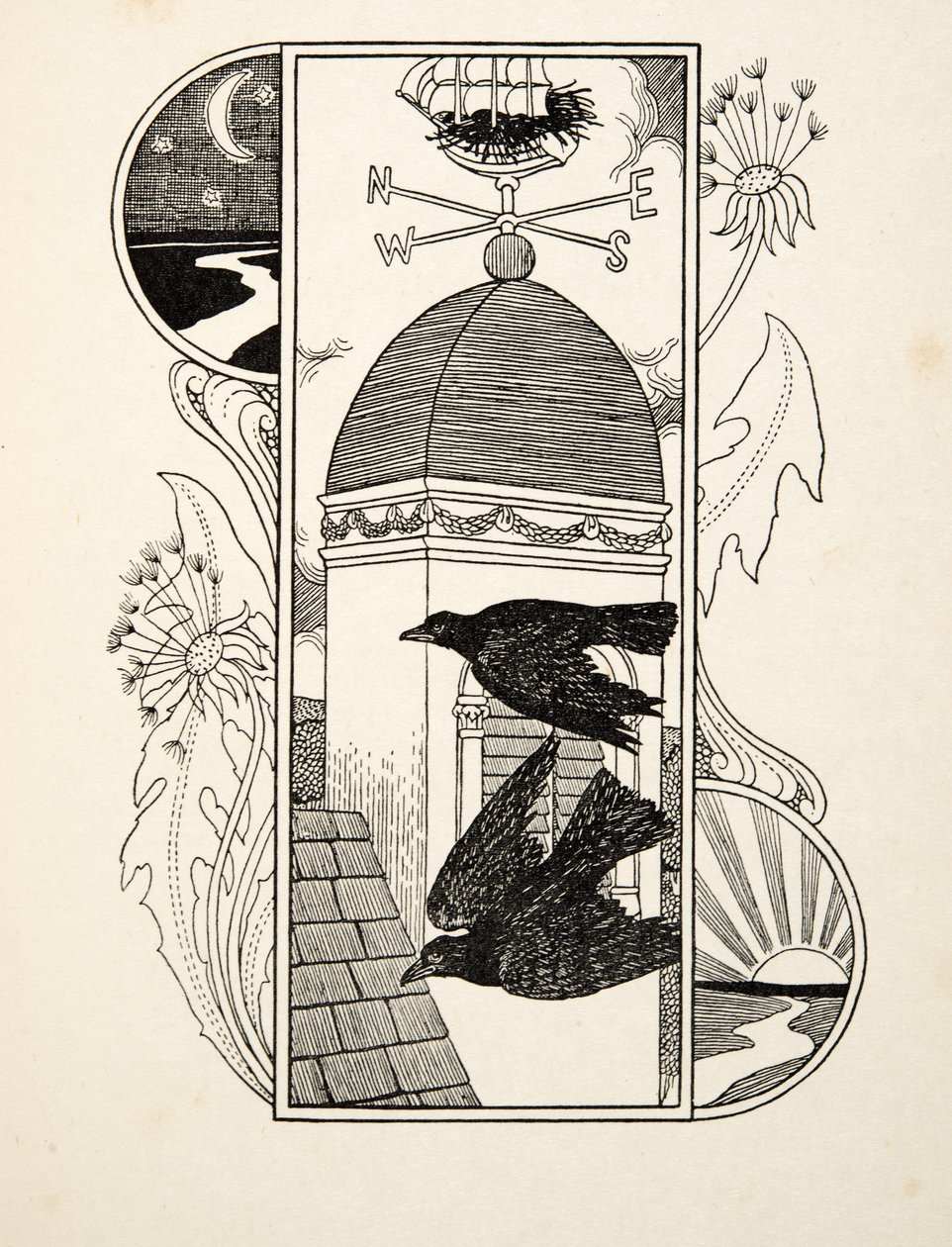 Strange Rooks by Percy J. Billingshurst