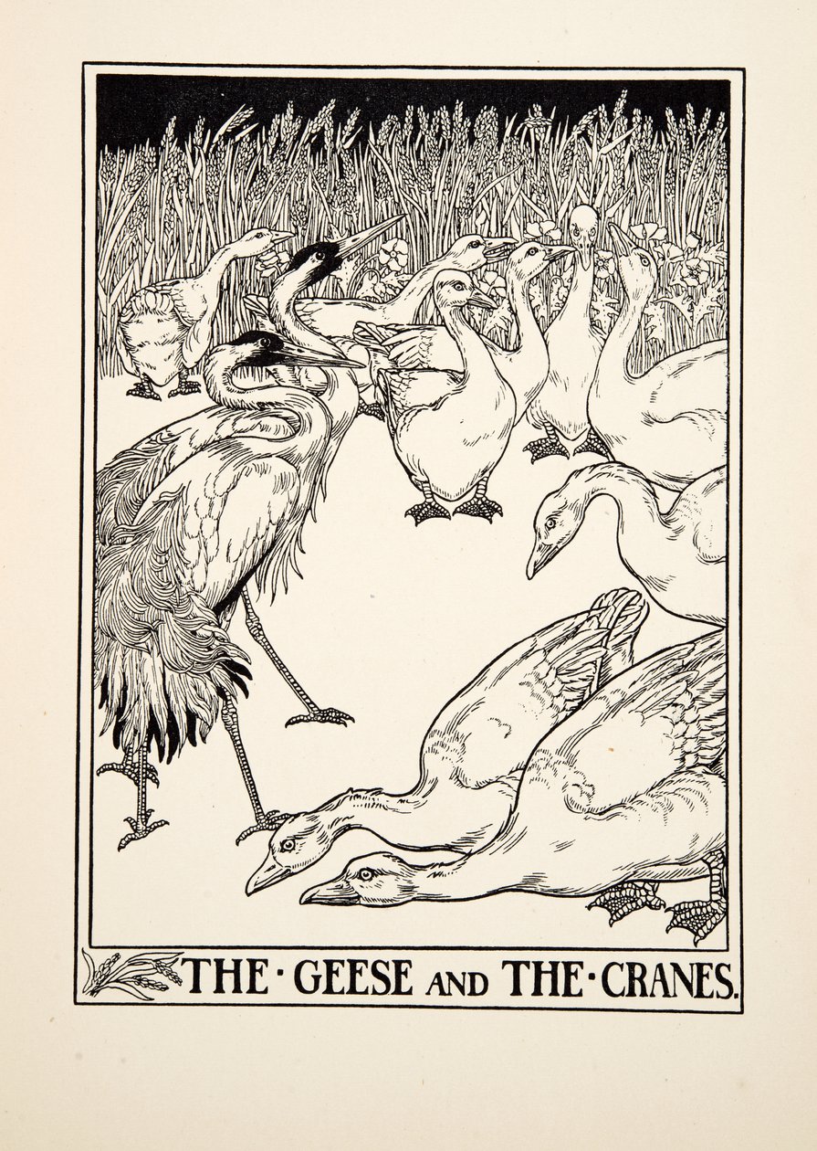 The Geese and the Cranes, from A Hundred Fables of Aesop by Percy J. Billingshurst