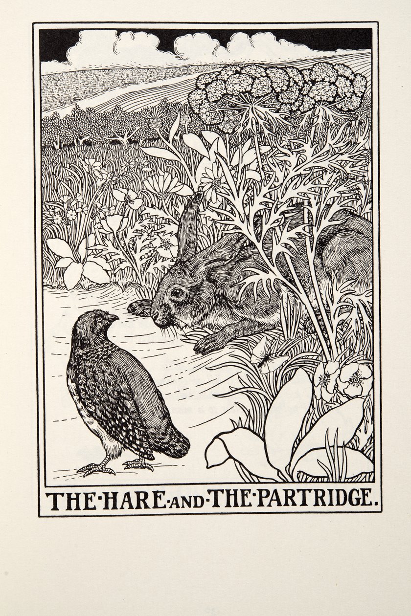 The Hare and The Partridge, from Fontaine Fables by Percy J. Billingshurst