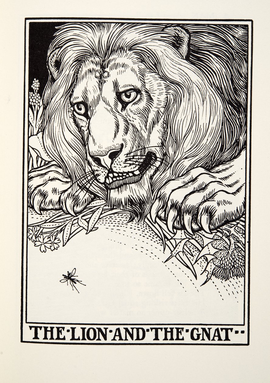 The Lion and the Gnat, from Fontaine Fables by Percy J. Billingshurst