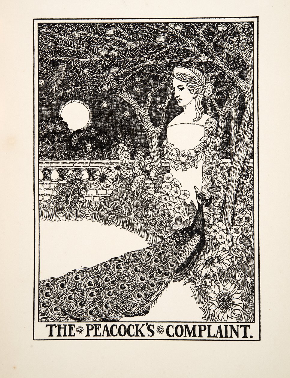 The Peacocks Complaint, from A Hundred Fables of Aesop by Percy J. Billingshurst