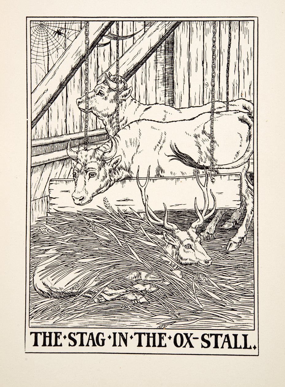 The Stag in the Ox Stall, from A Hundred Fables of Aesop, published 1903 by Percy J. Billingshurst