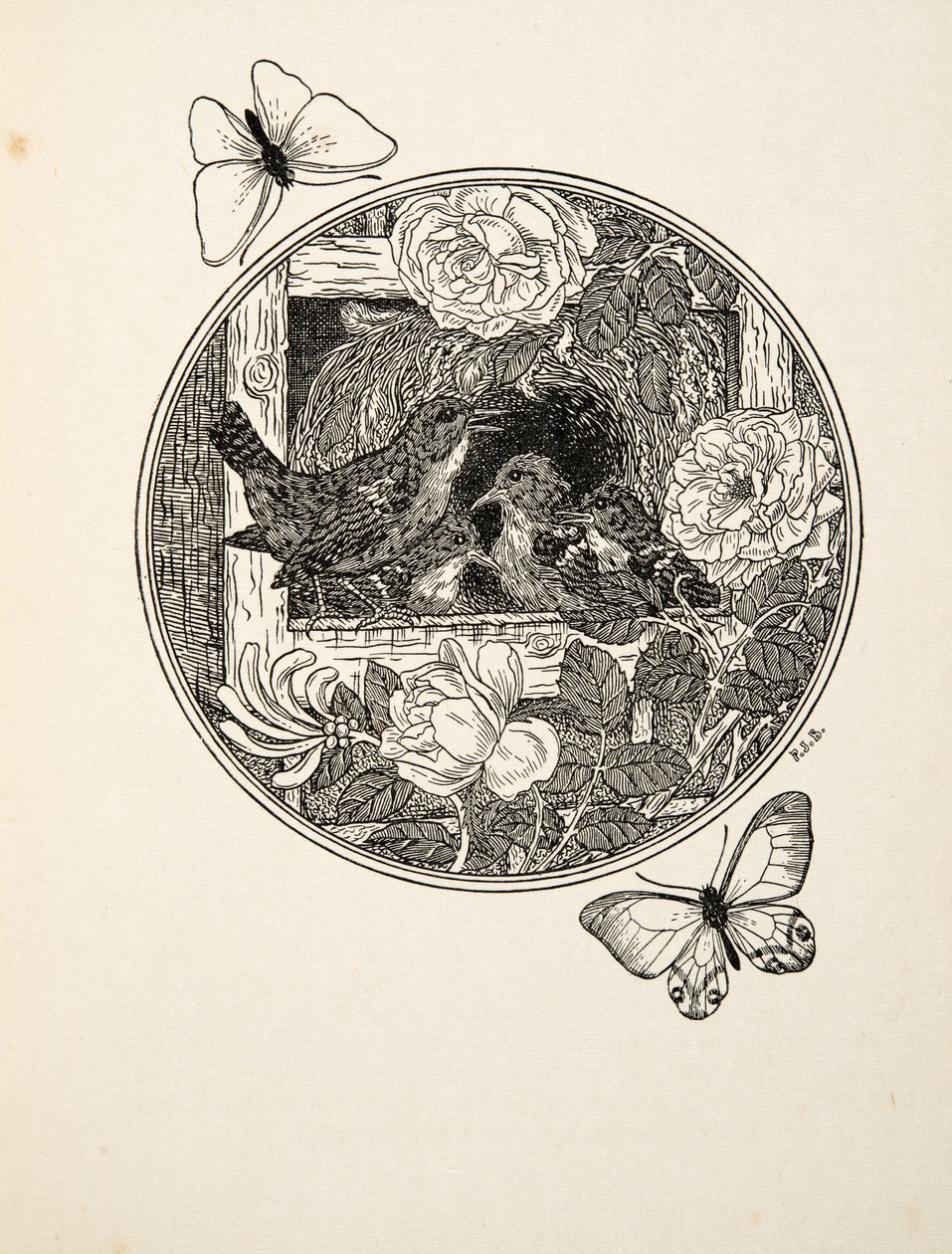 Wrens Learning to Sing by Percy J. Billingshurst