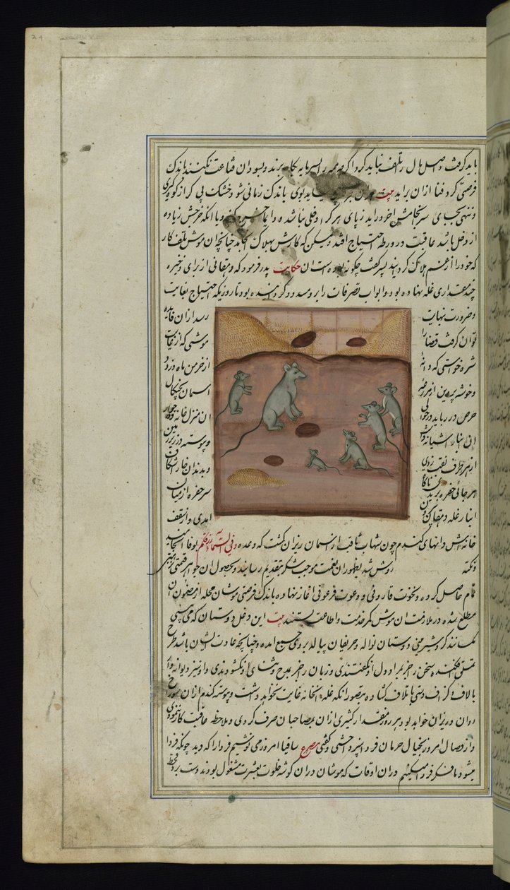A farmer’s corn supply being attacked by mice from Lights of Canopus by Persian School