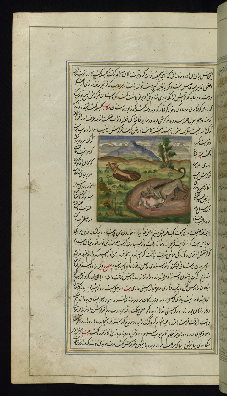 A Jackal Devours a Hare from Lights of Canopus by Persian School