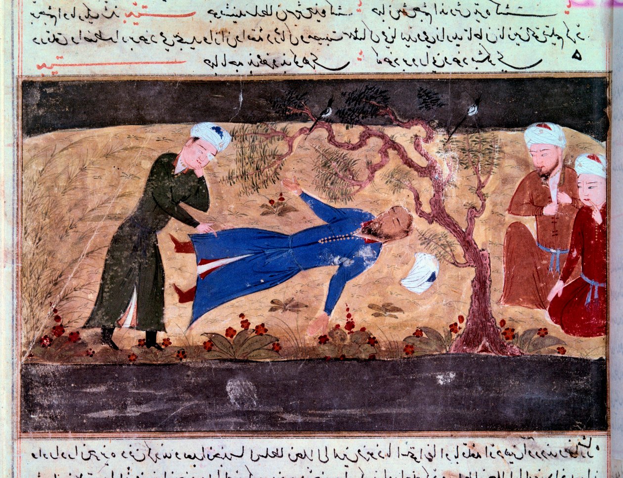 History of the Mongols: The death of Muhammad Hwarazmshah by Persian School