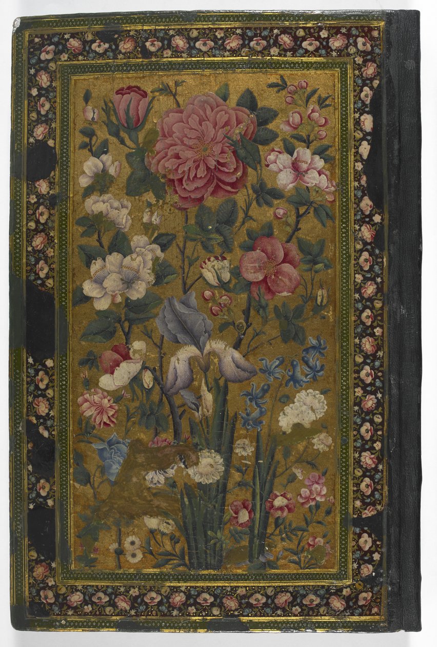 Back Cover of 