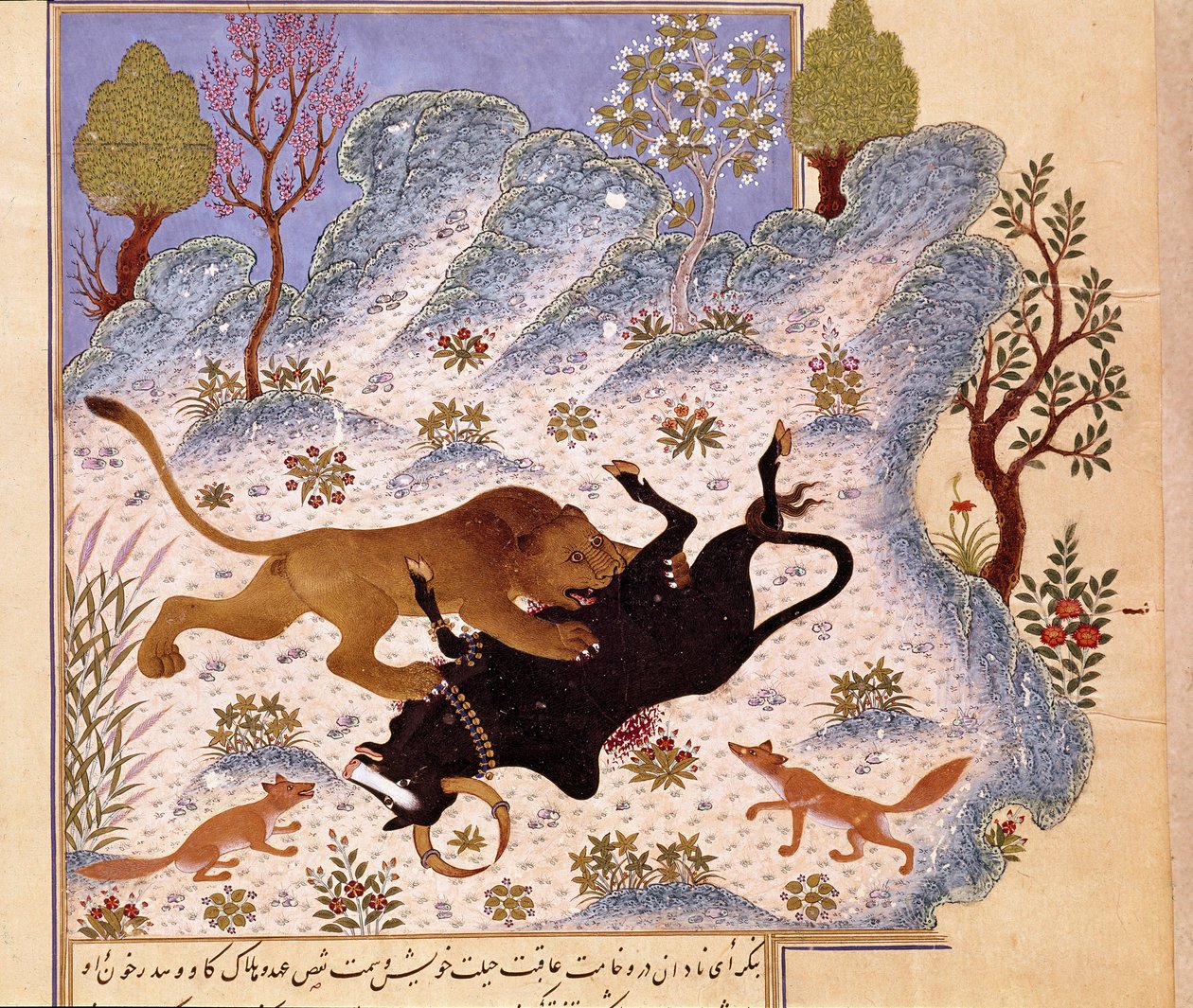 Lion attacking a bull Page of a Kalila and Dimna by Persian School