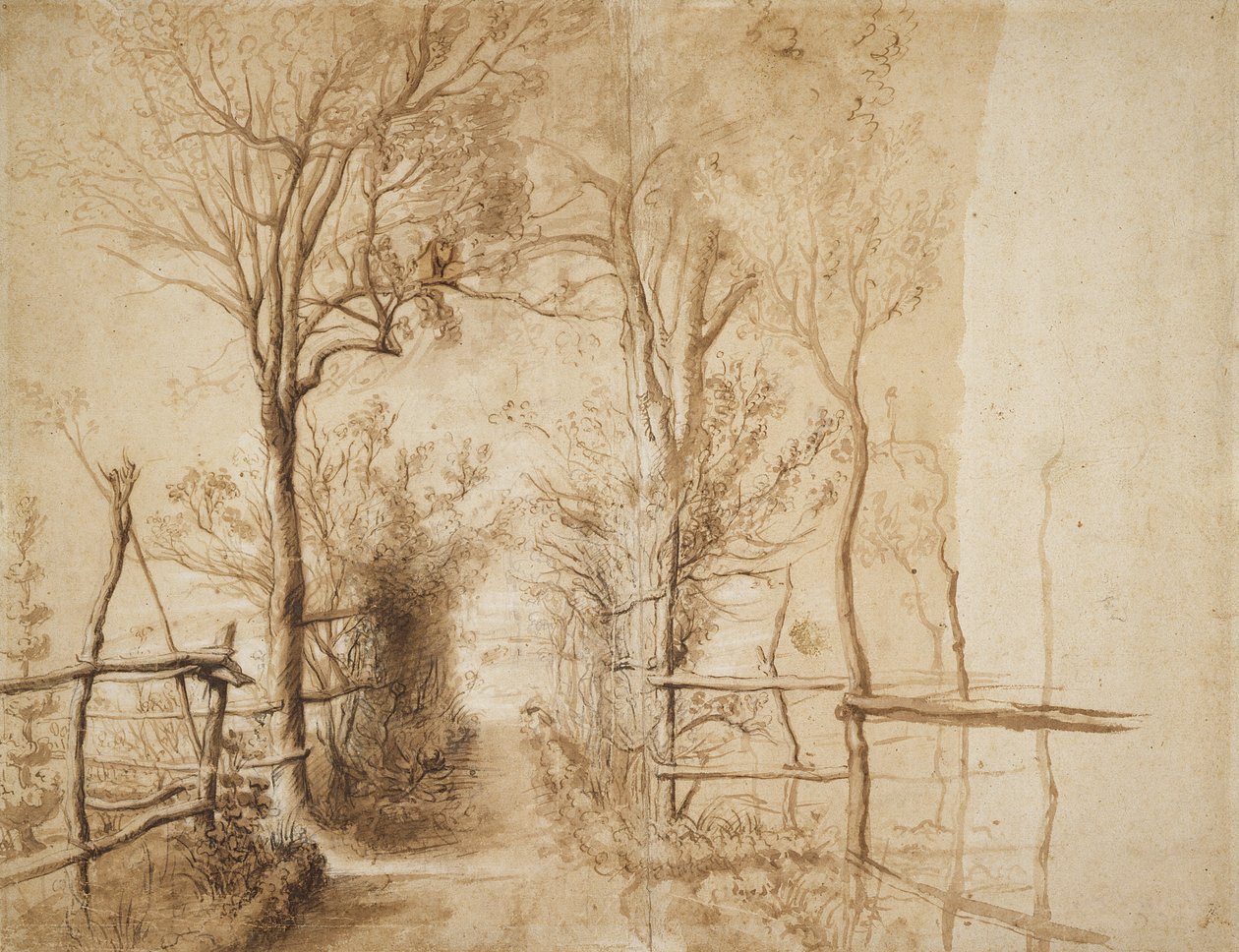 A Path bordered by Trees by Peter Paul Rubens