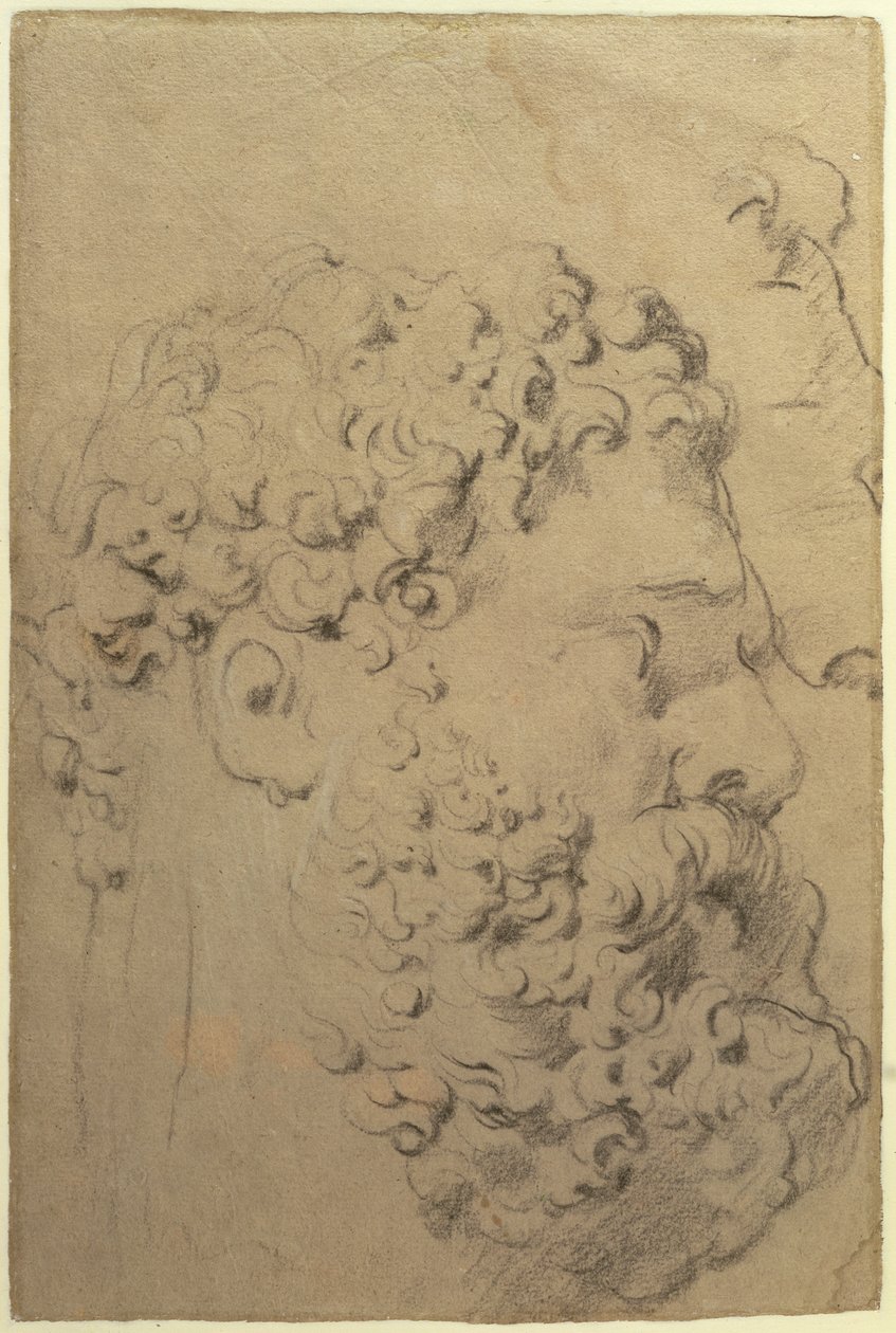 Studies of the head and profile of the Farnese Hercules by Glycon by Peter Paul Rubens