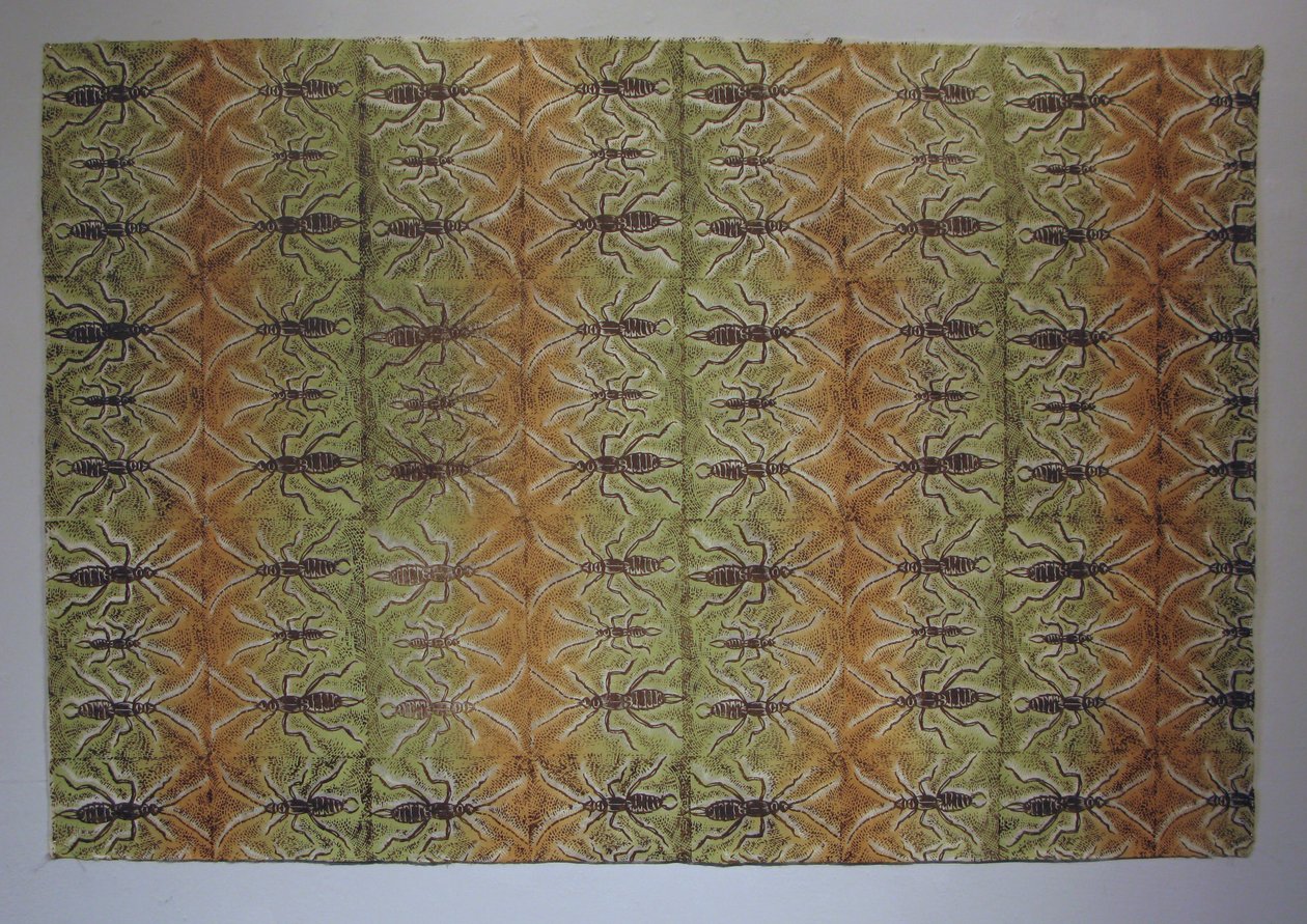 Insect Pattern - Earwig by Peter A Ford: Fine art print