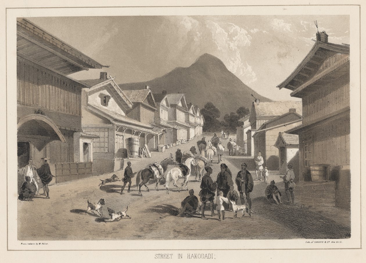 Street in Hakodadi, litho by Sarony and Co. by Peter Bernhard Wilhelm Heine