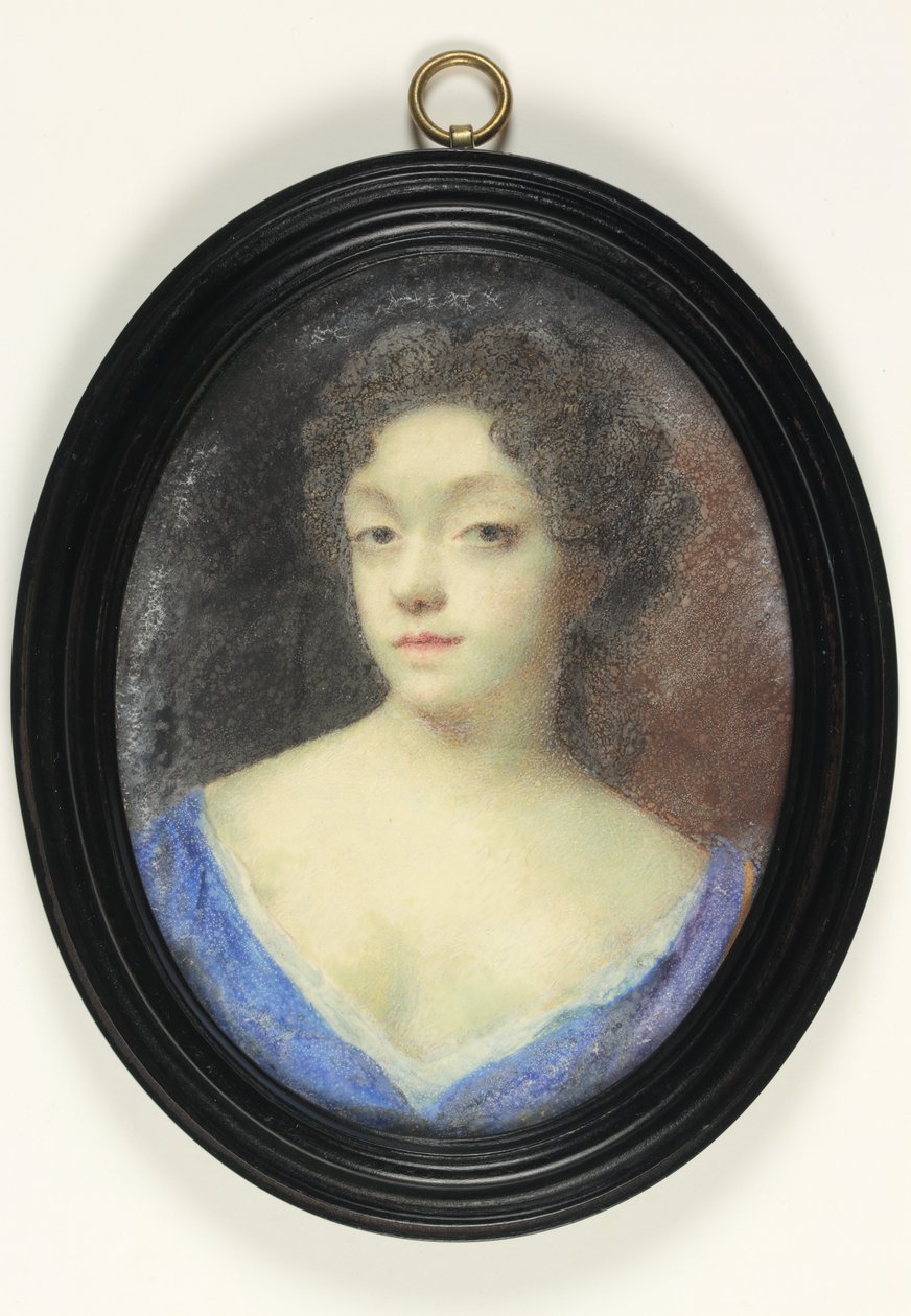 A lady called Mrs Hillesley by Peter Cross