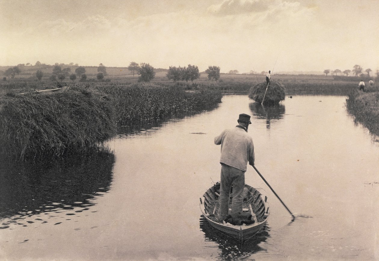 Quartering the Marsh Hay, Life and Landscape on the Norfolk Broads, c.1886 by Peter Emerson und Thomas Goodall