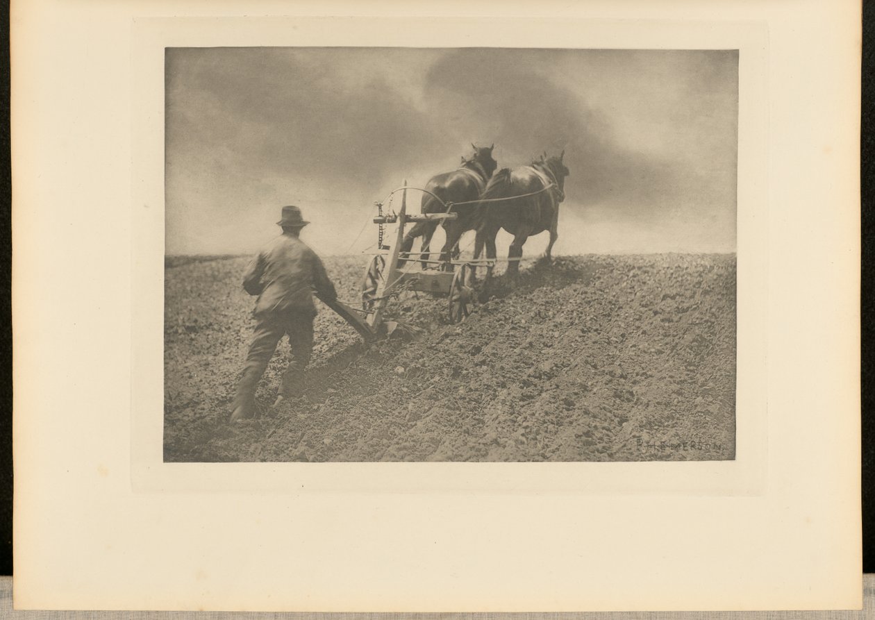 A Stiff Pull by Peter Henry Emerson