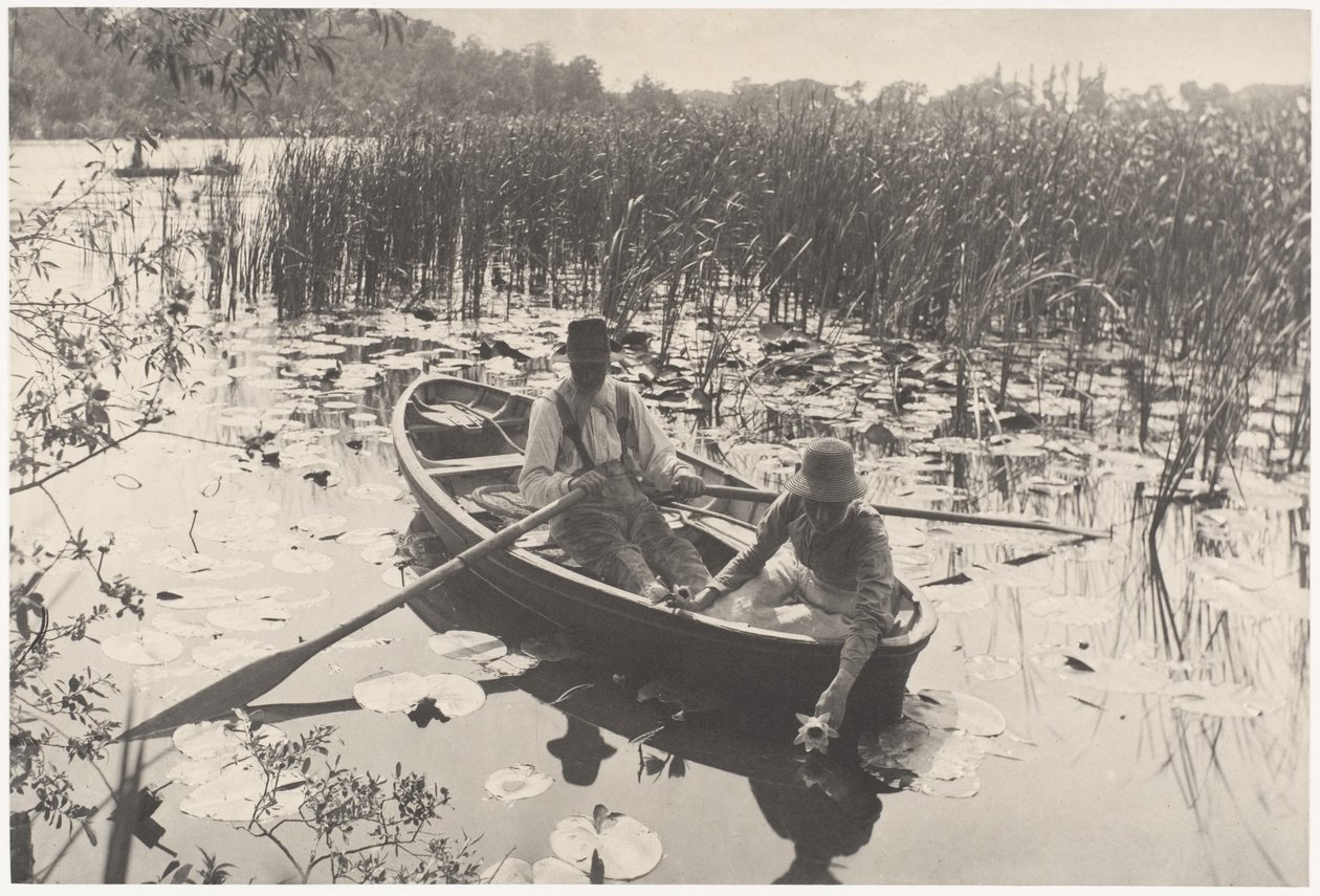 Gathering Water-Lilies by Peter Henry Emerson