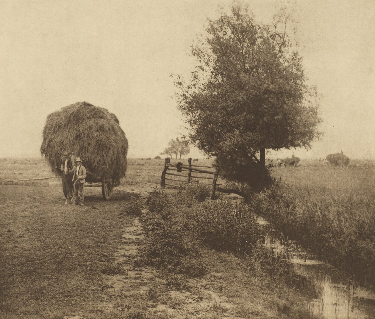 In the Haysel. [Norfolk] by Peter Henry Emerson