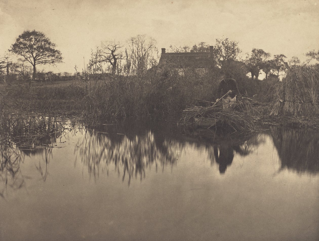 Quanting the Gladdon by Peter Henry Emerson