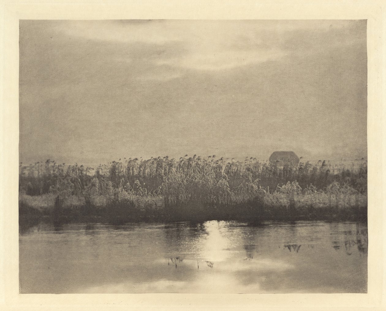 Rime Crystals by Peter Henry Emerson