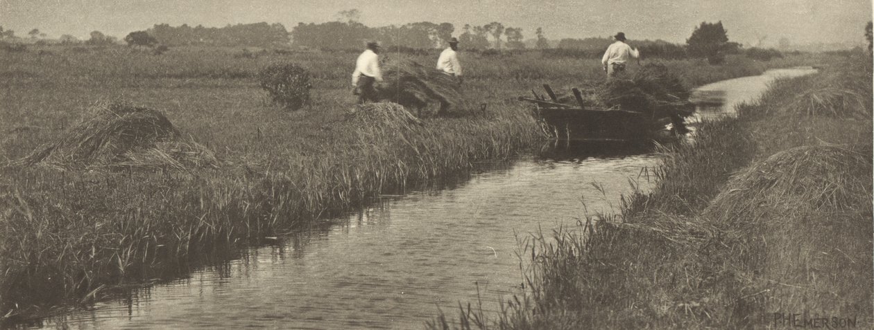The Sedge Harvest by Peter Henry Emerson