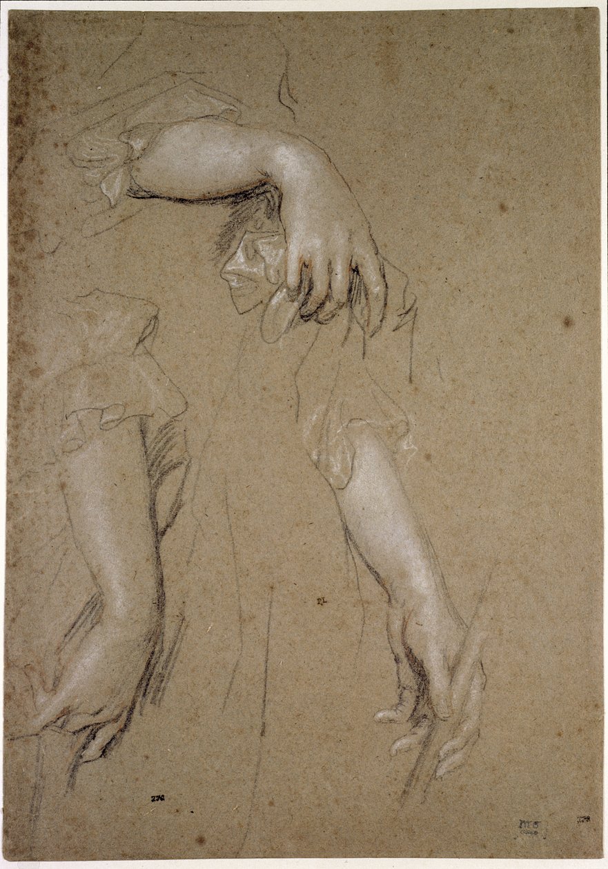Studies of Hands by Peter Lely