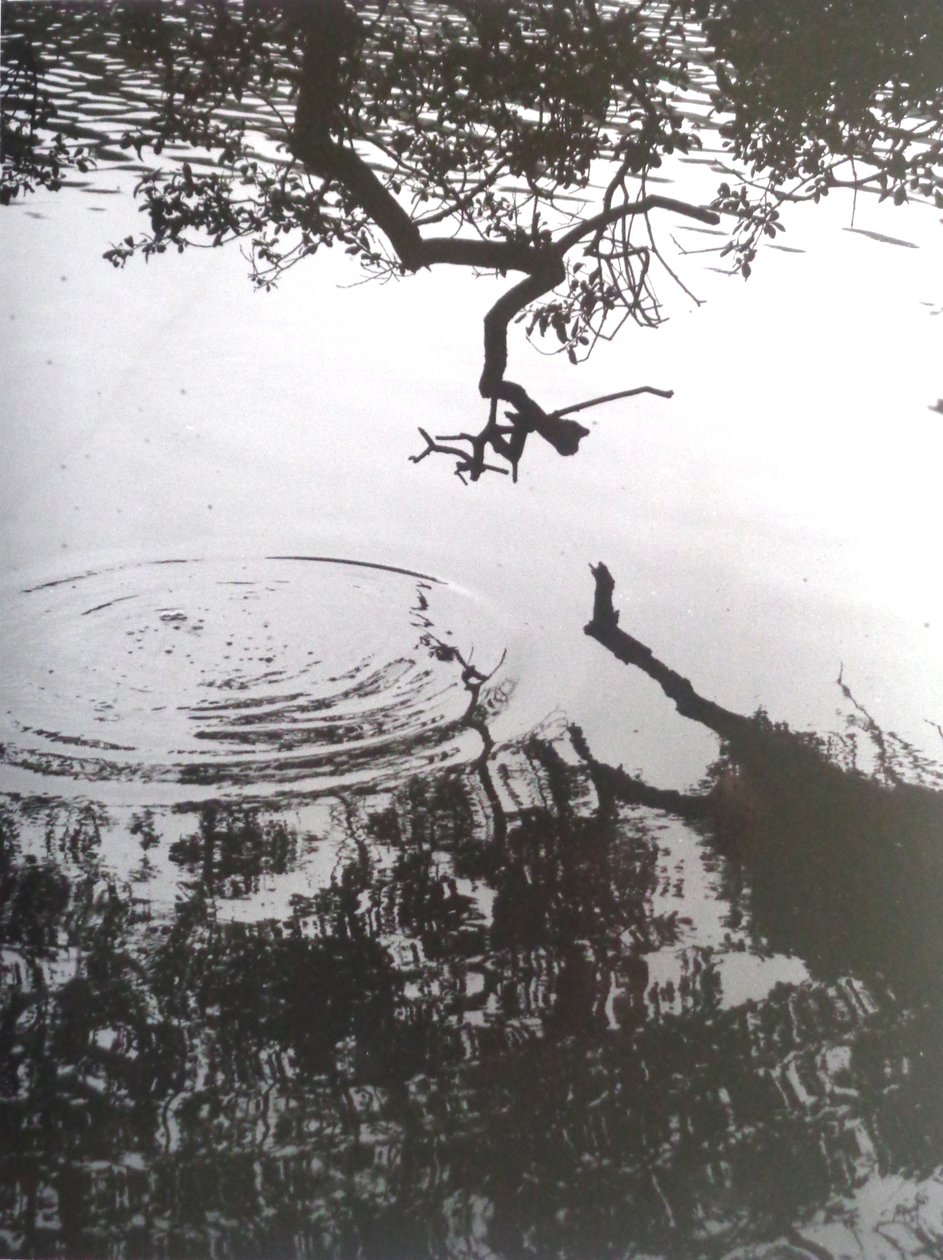 Vintage B&W Photo No.5, 1986 by Peter McClure