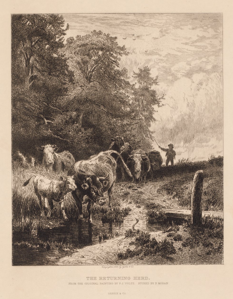 The Returning Herd by Peter Moran
