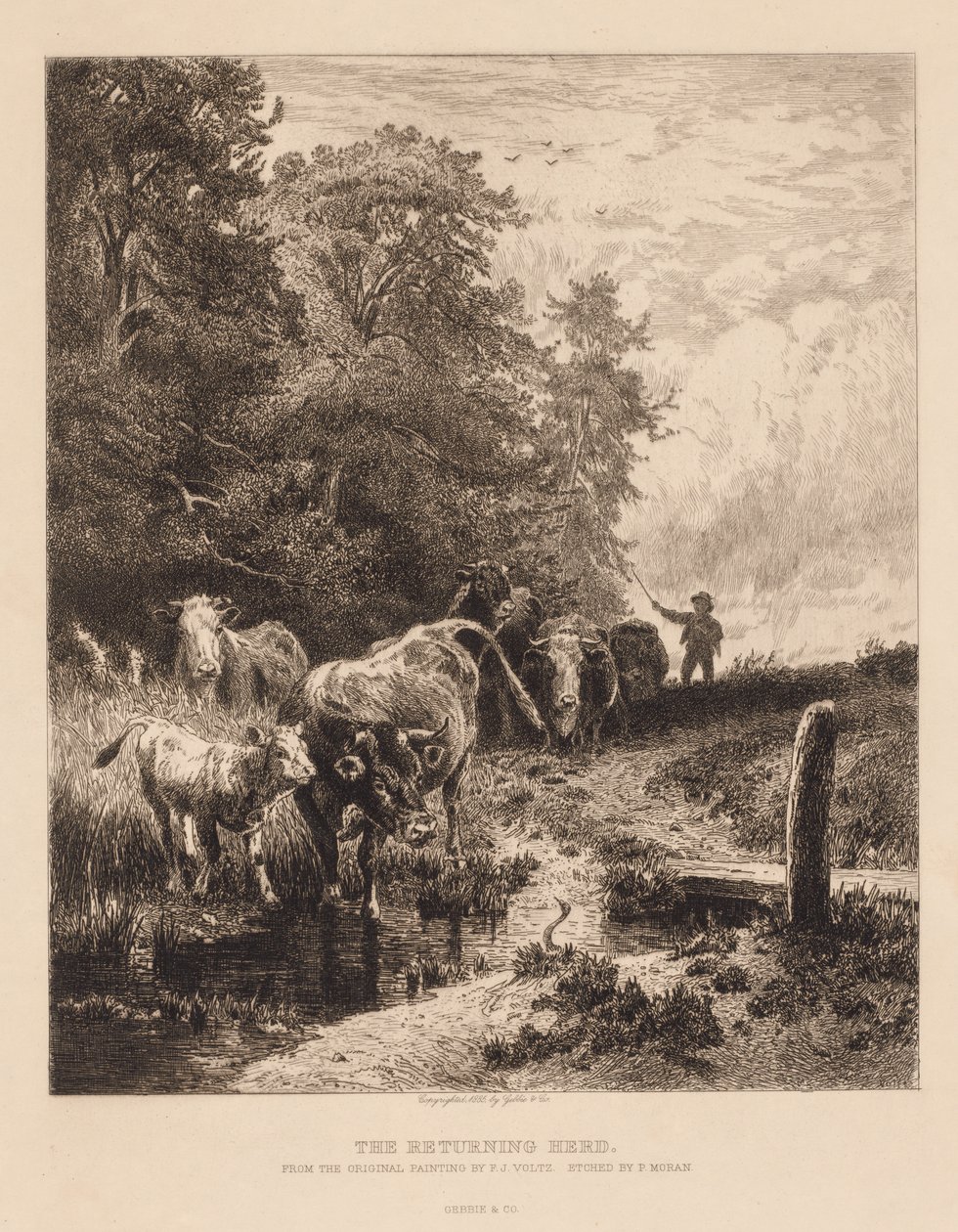 The Returning Herd by Peter Moran