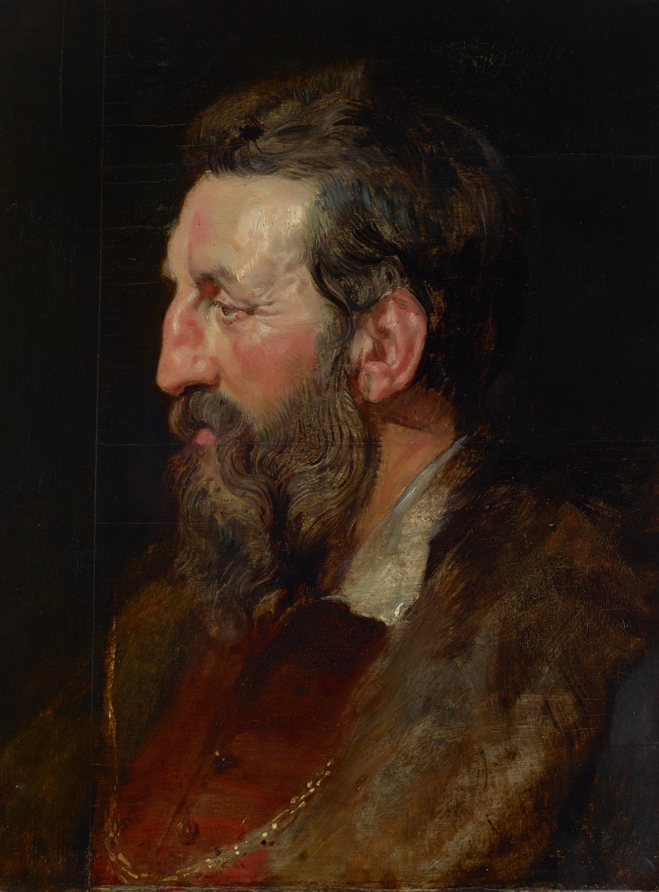 Portrait of a Man, c.1615 by Peter Paul Rubens