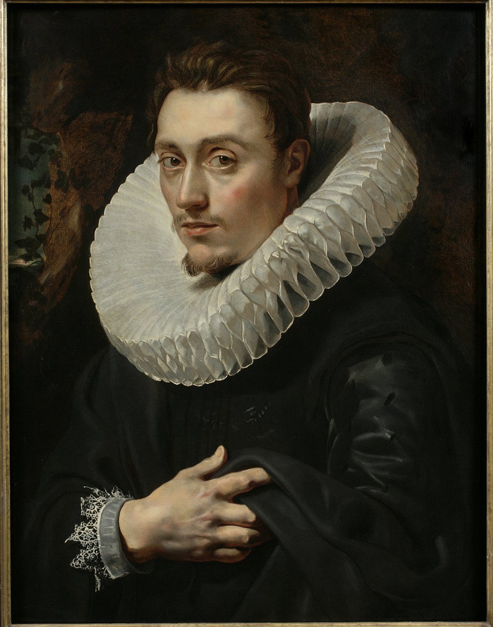 Portrait of a Young Man by Peter Paul Rubens