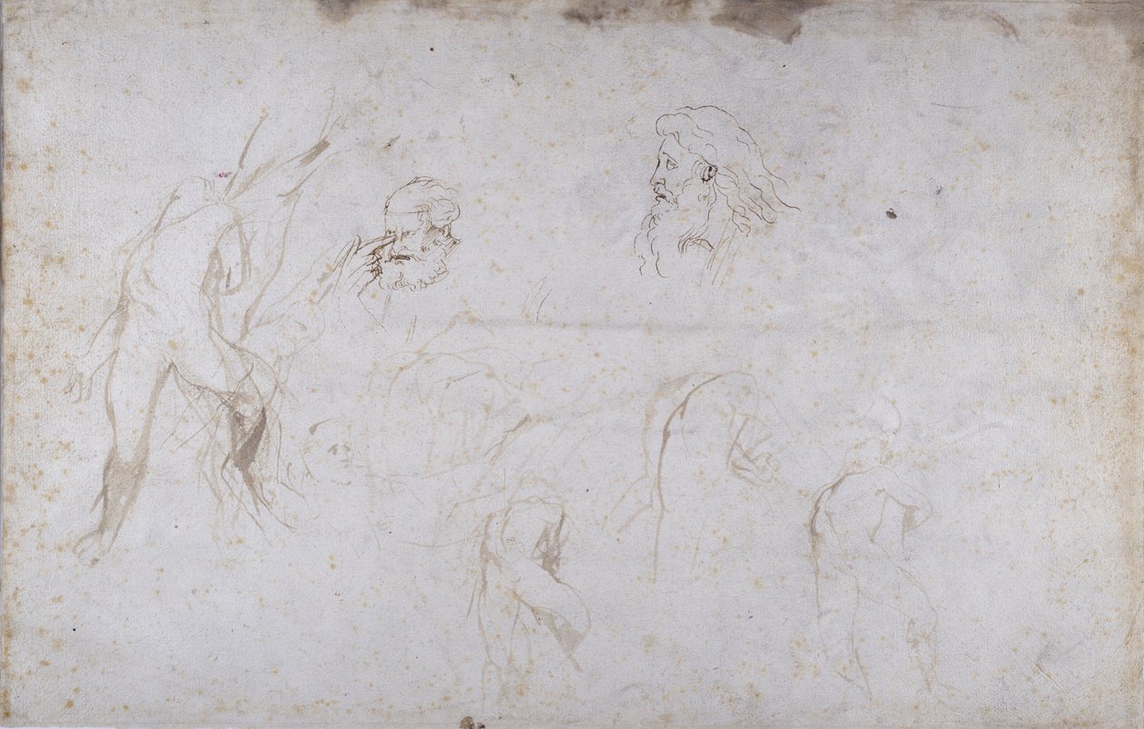 Studies of a Male Figure Tied to a Tree and of Two Male Heads by Peter Paul Rubens
