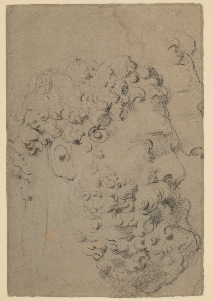 Studies of the Head and Profile of the Farnese Hercules Seen from a Lower Viewpoint by Peter Paul Rubens