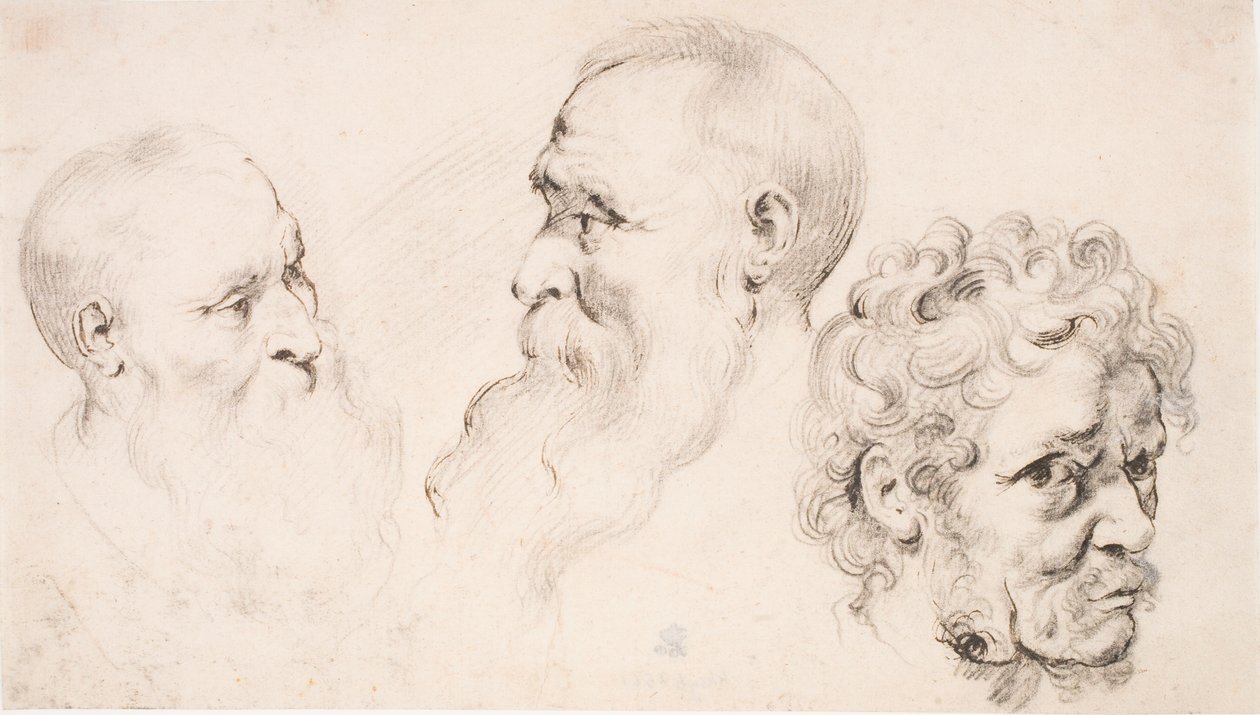 Three Male Heads by Peter Paul Rubens