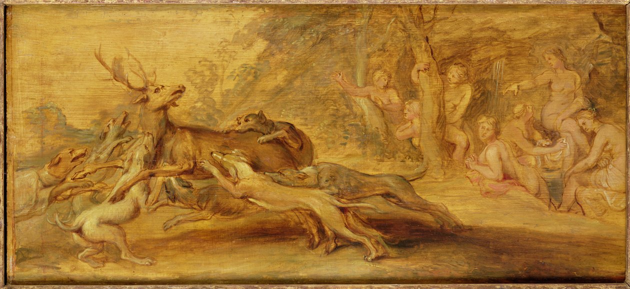 Unknown Image by Peter Paul Rubens