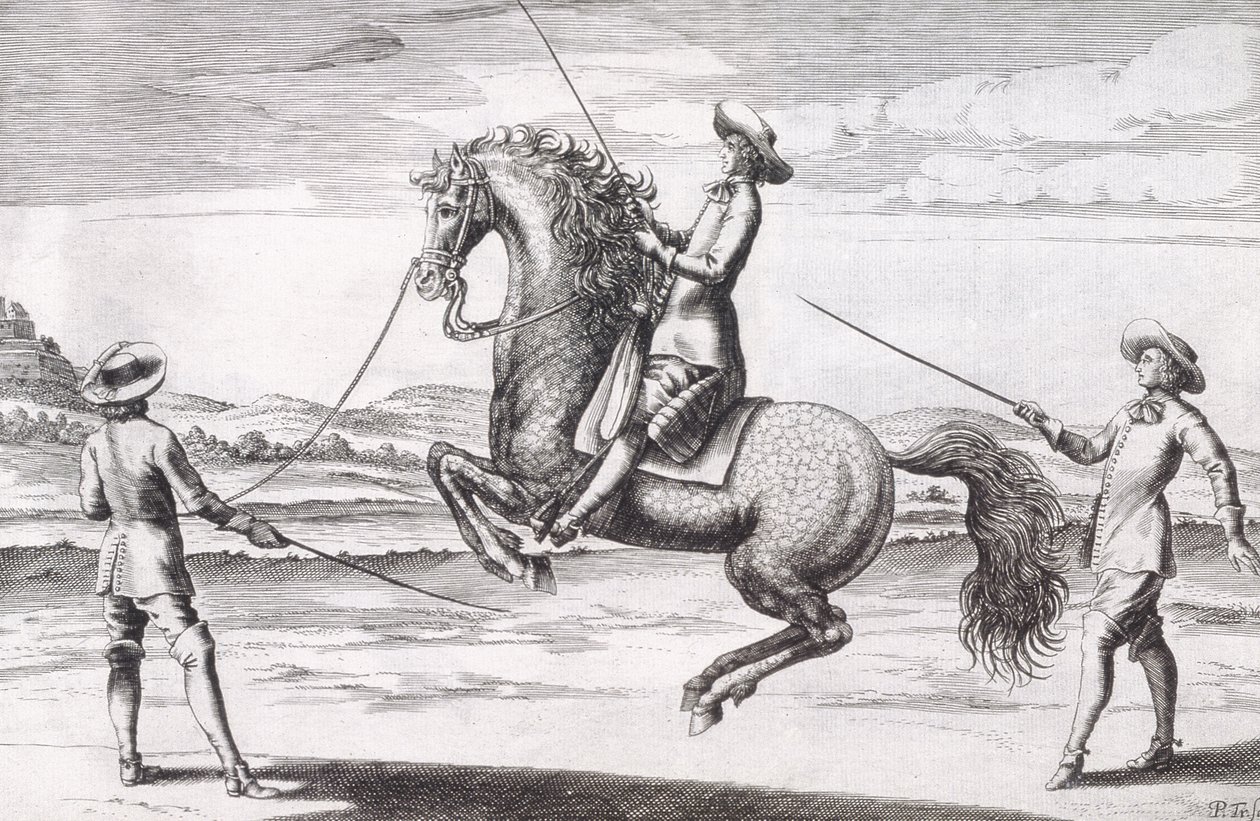Illustration of a horse en Croupade from New Treatise for Breeding Horses written by Winters, Stuterey and Reit-Schul, pub. 1672 by Peter Paul Troschel