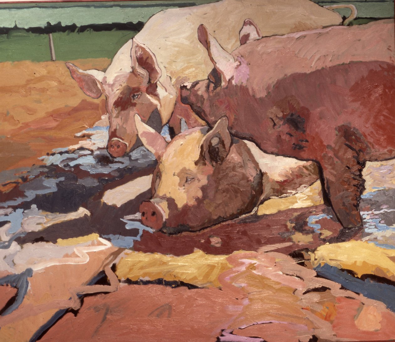 Pigs in Sunlight and Mud by Peter Wilson