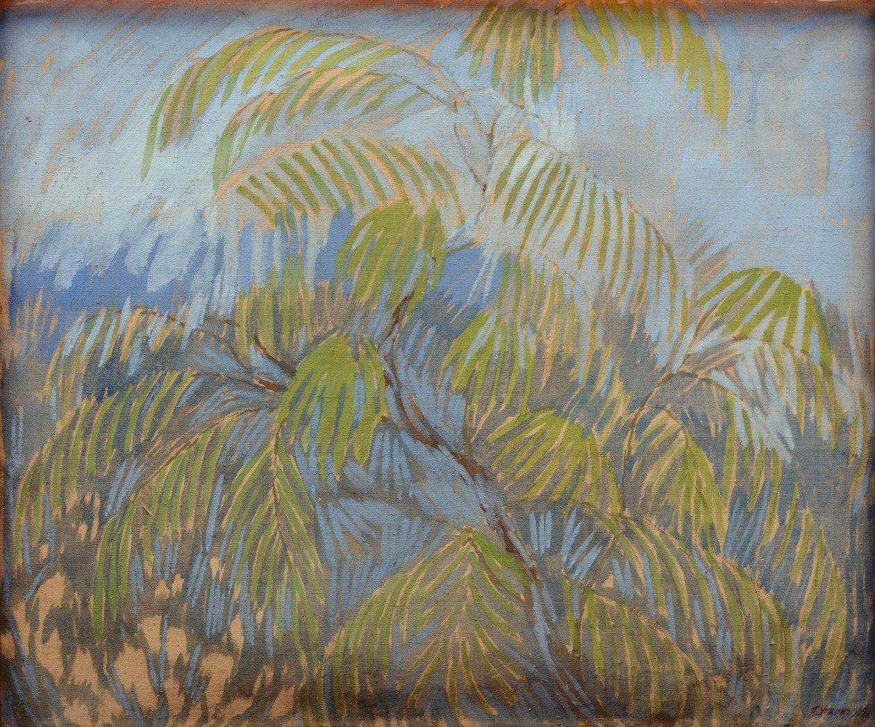 Mimosa by Petr Savvic Utkin