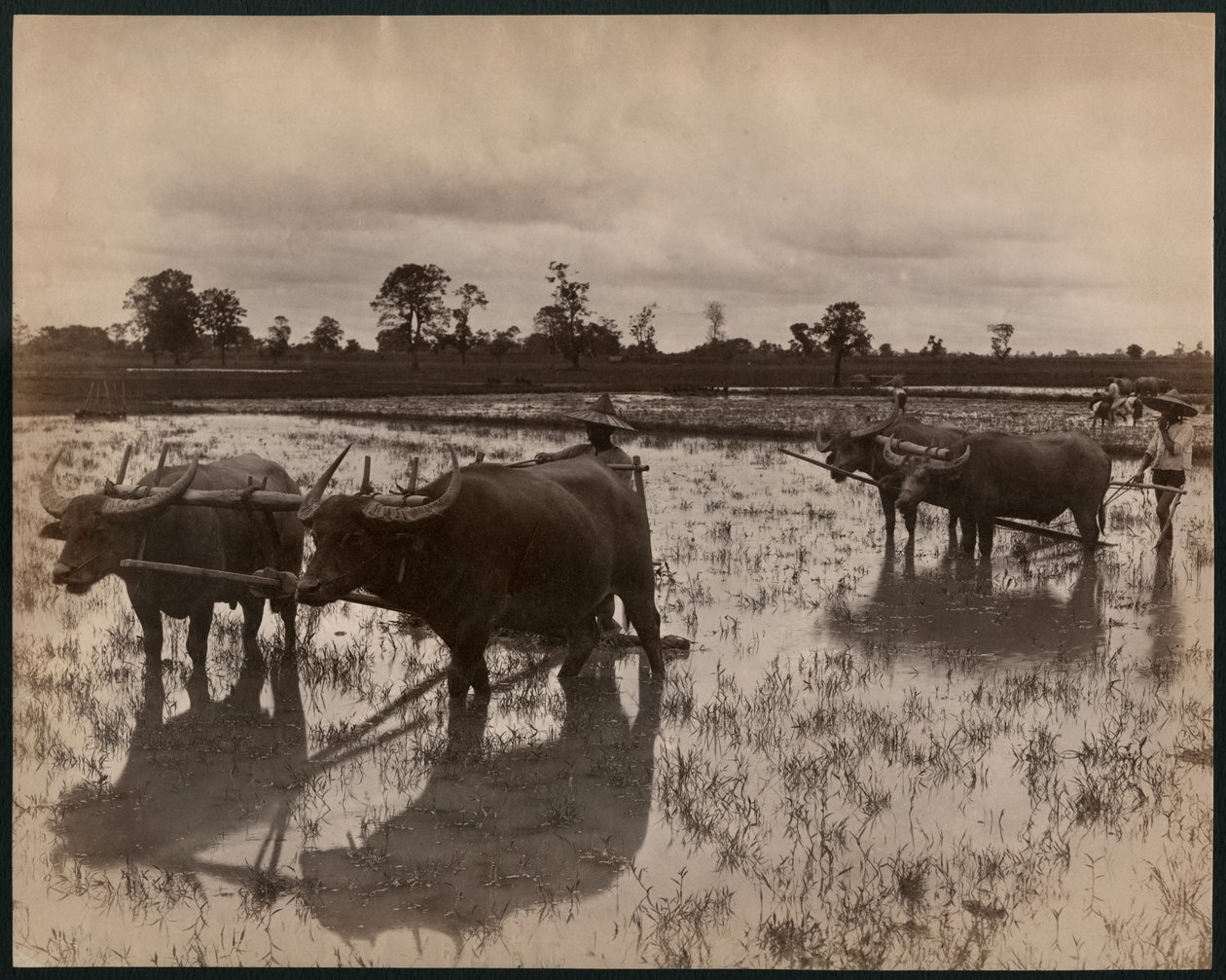Farm Work by Philip Adolphe Klier