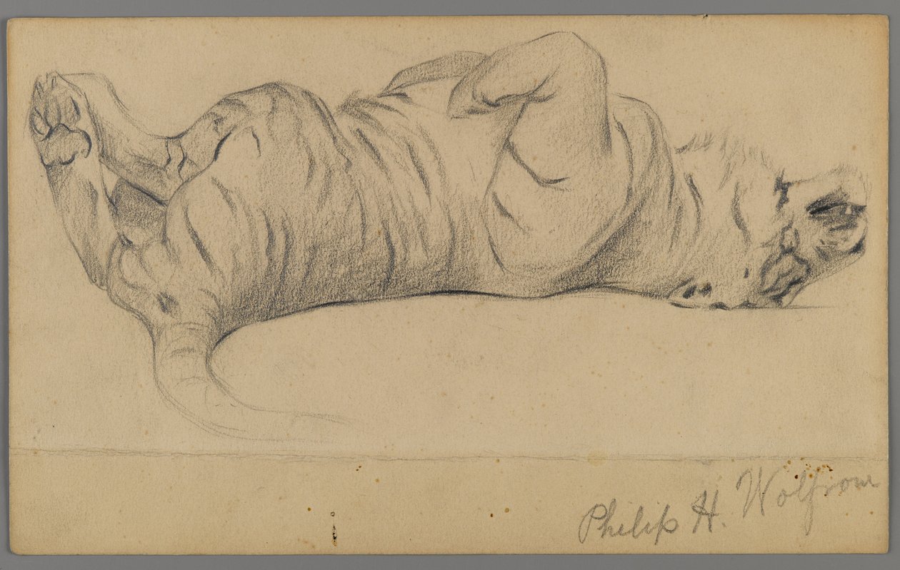 Sleeping tiger by Philip H. Wolfrom