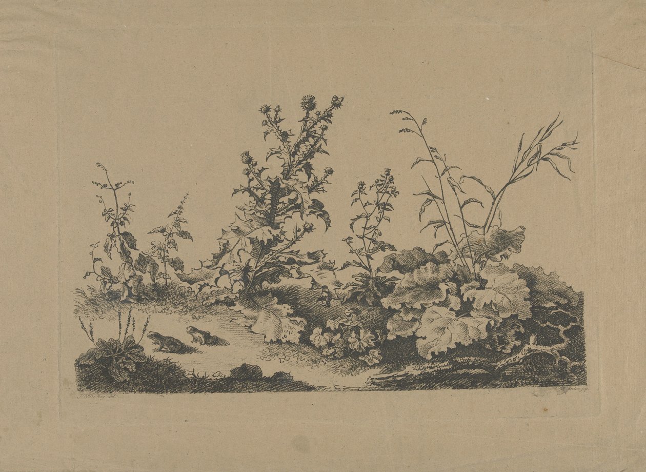 Landscape Study with Thistles and Frogs by Philippe Cardon