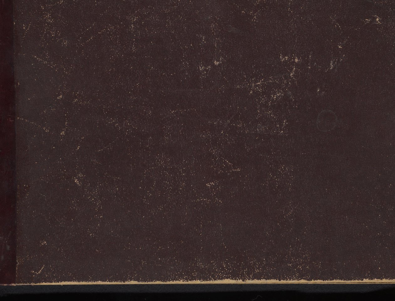 Album with Representations of the Family History of the House of Medici by Philips Galle