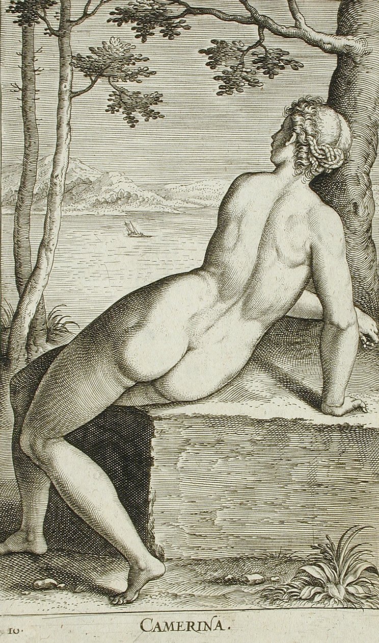 Camerina by Philips Galle
