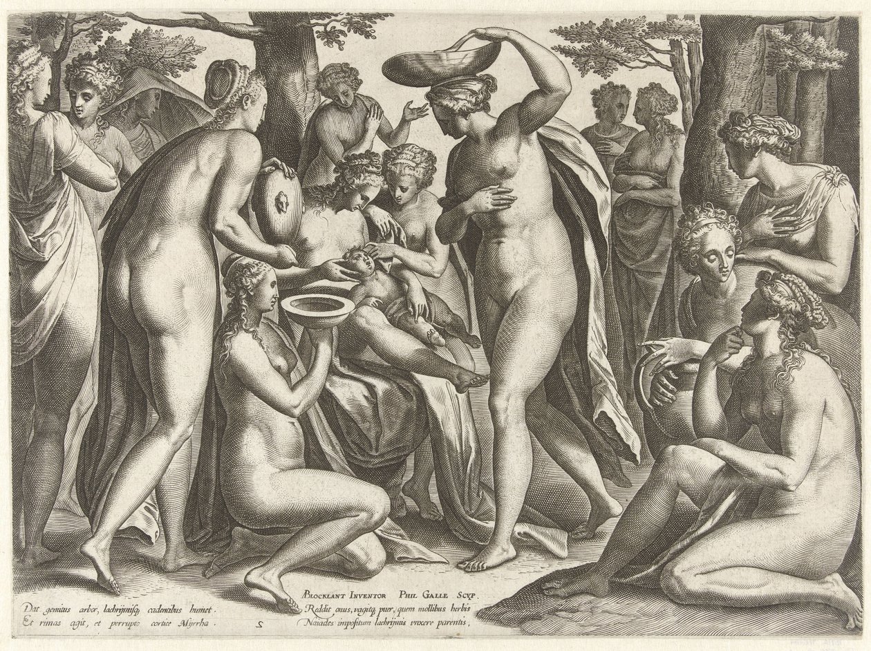 Education of Adonis (The Story of Adonis) by Philips Galle