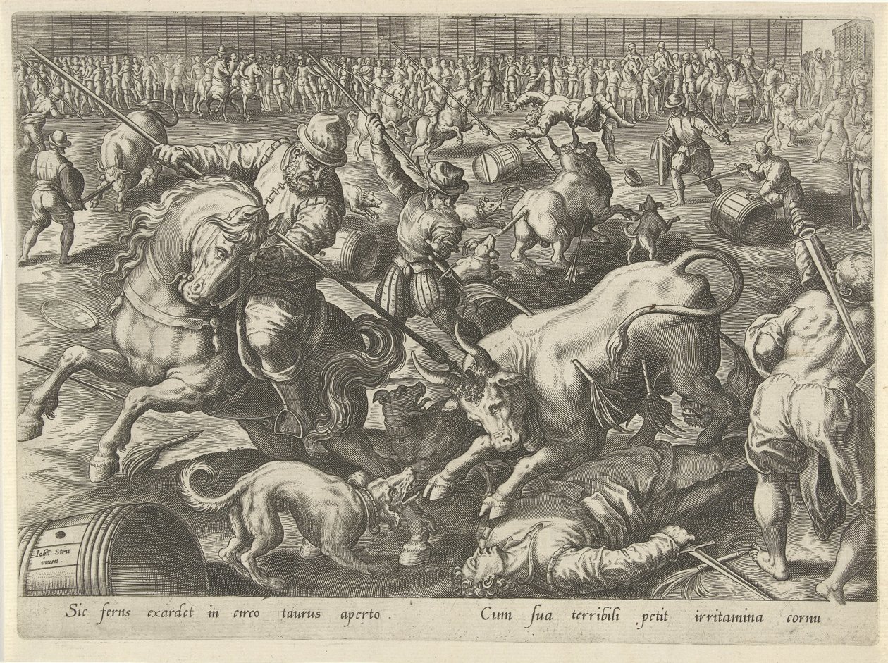 Bullfight by Philips Galle