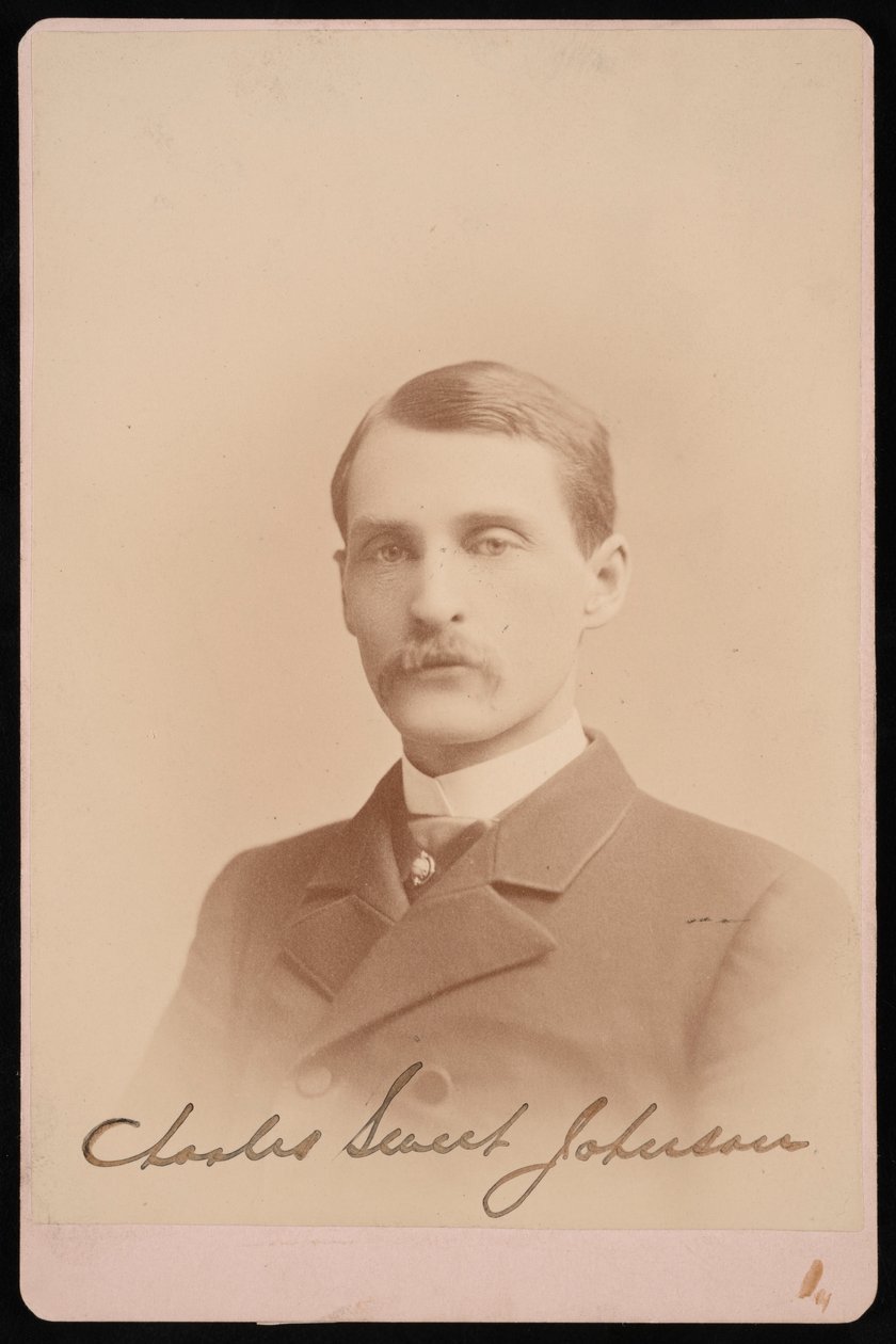 Portrait of Charles Sweet Johnson, 1870-1871 by Photographic Art Company